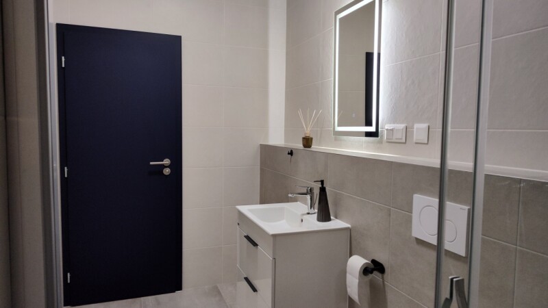 Bathroom with navy blue door.